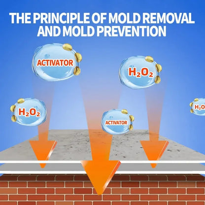 ✨ Fast-Acting Mold & Mildew Remover Spray for Walls