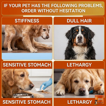 🐶 32-IN-1 ALL-IN-ONE MULTIVITAMIN CHEWS FOR DOGS