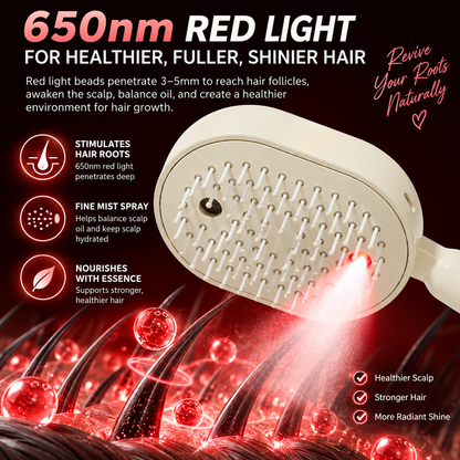 🔥Last Day 50% OFF Electric Mist-Spraying Massage Cushion Brush