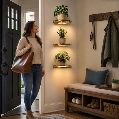 🌿 Floating Plant Shelf with Built-in Ambient LED Light