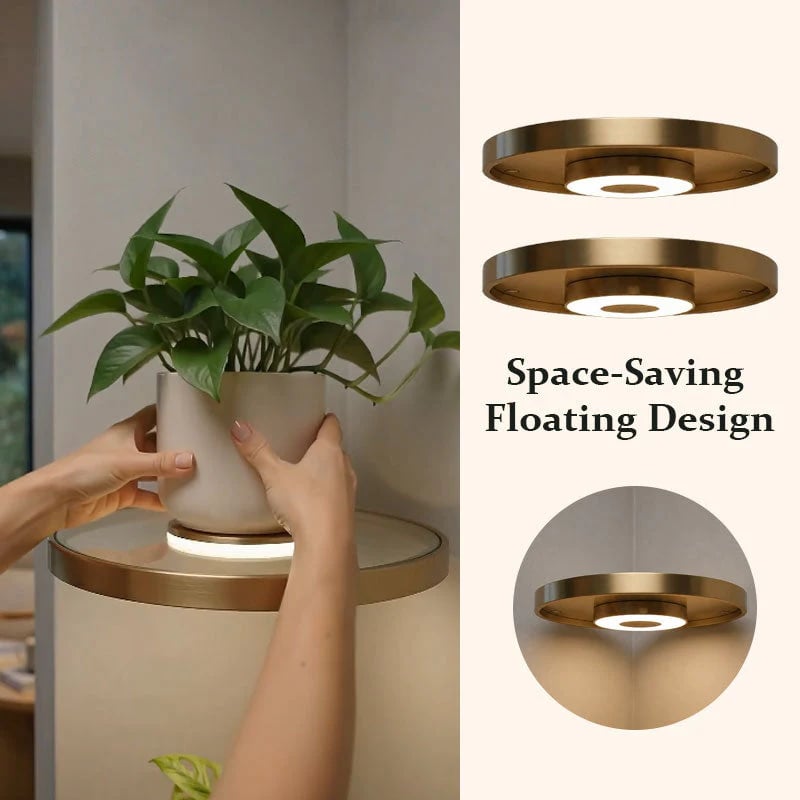 🌿 Floating Plant Shelf with Built-in Ambient LED Light