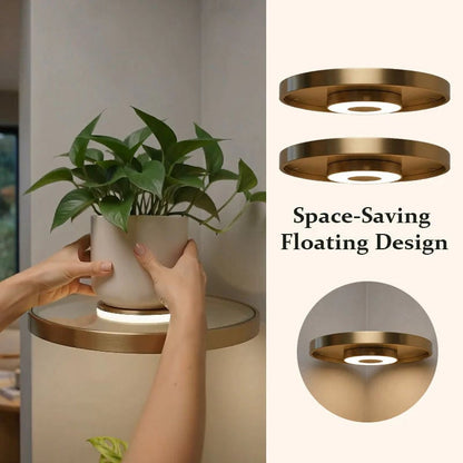 🌿 Floating Plant Shelf with Built-in Ambient LED Light