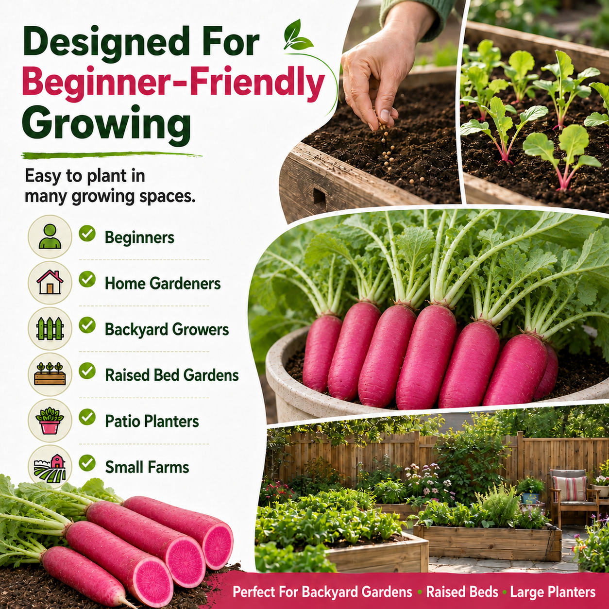 🔥 Limited Garden Season Offer 🔥 Easy-To-Grow Pineapple Fruit Radish Seeds With High-Yield Potential-8RH7