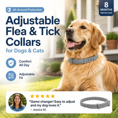 🔥LAST DAY 50% OFF🐶🐱 Advanced Flea & Tick Protection Collar | Waterproof, Long-Lasting Defense for Dogs & Cats 🛡️