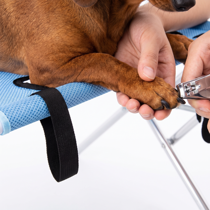 No-Escape Dog Bath & Grooming Stand