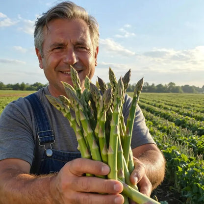 Four Seasons Asparagus Mary Washington Seeds