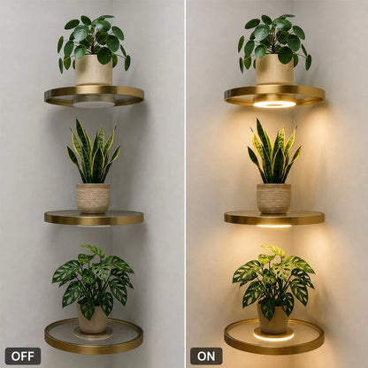 🌿 Floating Plant Shelf with Built-in Ambient LED Light