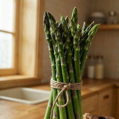 Four Seasons Asparagus Mary Washington Seeds