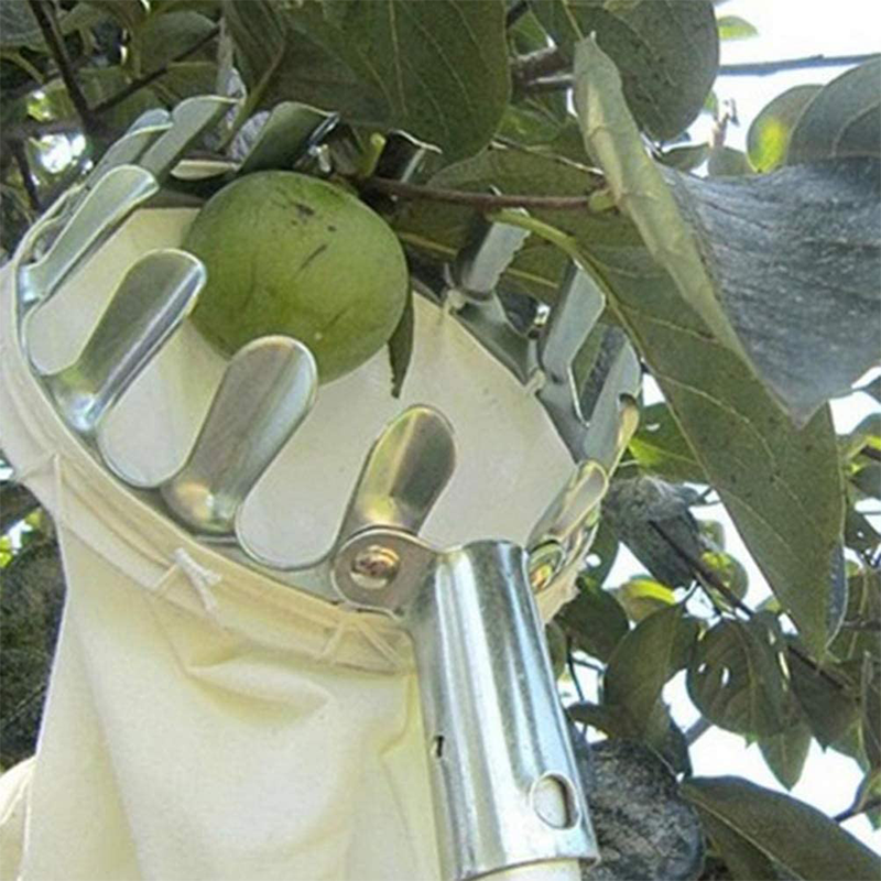 🥳2026 HOT SALE🥳💞50K+ SOLD! 🍎🌳 50% OFF! Fruit Picker Head Basket – no ladder needed, easy attach & reach high branches. Durable metal tines + nylon bag, pick apples, pears & more without damage! 🛡️💪