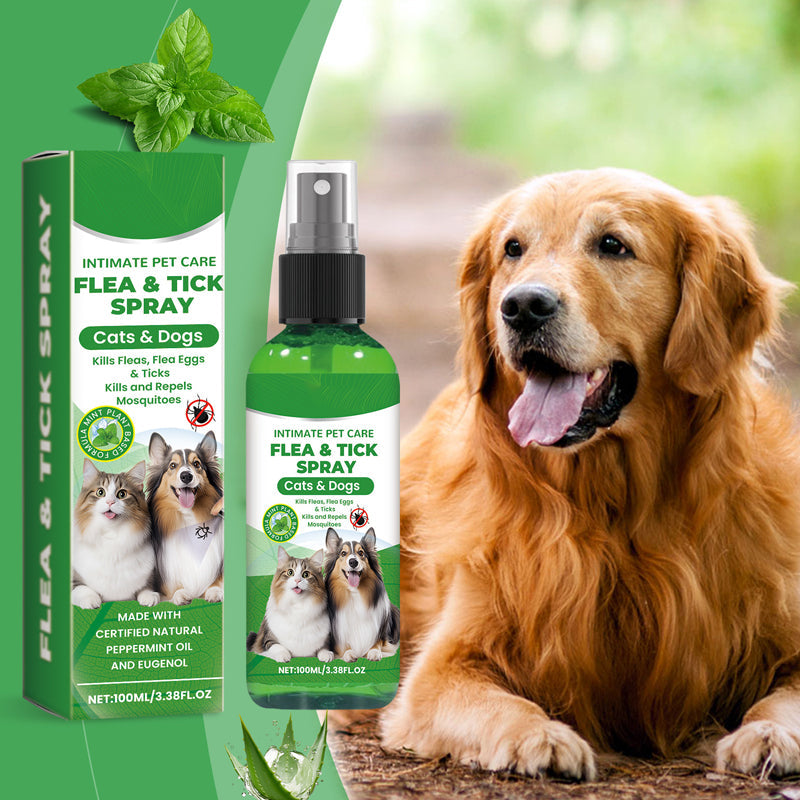 ⏳Limited-Time Offer: Buy 2 Get 1 FREE!✨️🌿The Plant-Based Flea