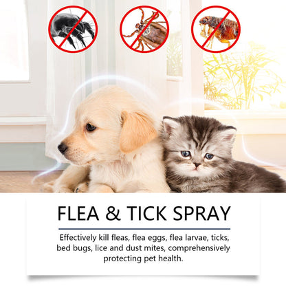 ⏳Limited-Time Offer: Buy 2 Get 1 FREE!✨️🌿The Plant-Based Flea