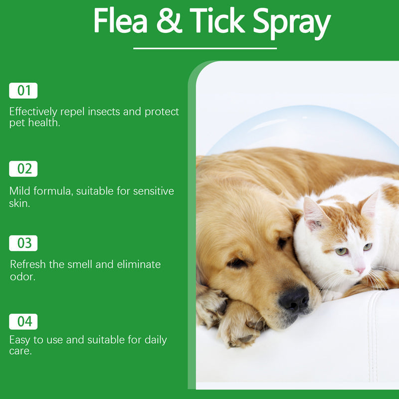 ⏳Limited-Time Offer: Buy 2 Get 1 FREE!✨️🌿The Plant-Based Flea