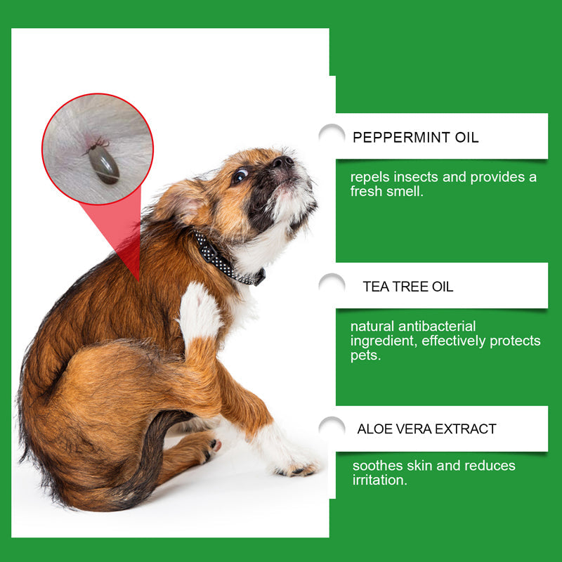 ⏳Limited-Time Offer: Buy 2 Get 1 FREE!✨️🌿The Plant-Based Flea