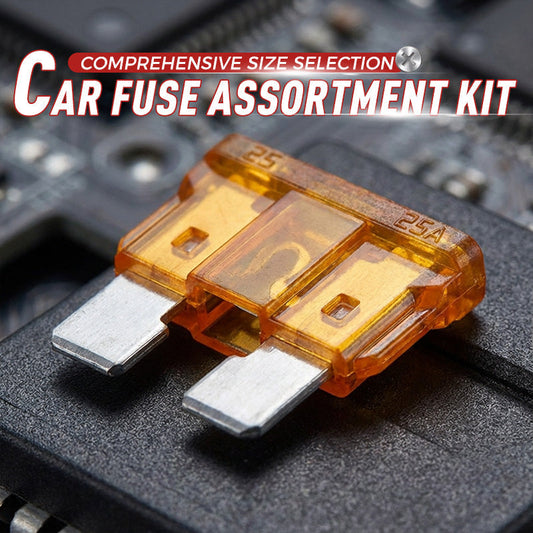 🛠️Car Fuse Assortment Kit – Micro Mini Standard Blade Fuses with Organizer Case
