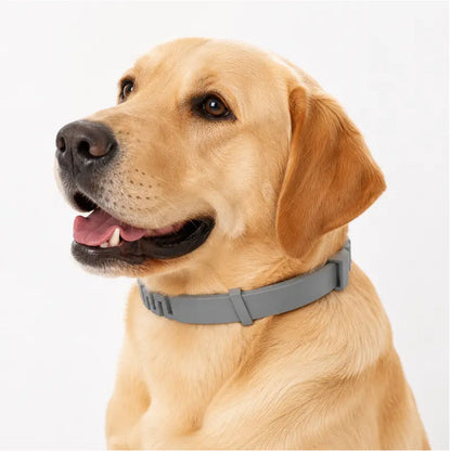 🔥LAST DAY 50% OFF🐶🐱 Advanced Flea & Tick Protection Collar | Waterproof, Long-Lasting Defense for Dogs & Cats 🛡️